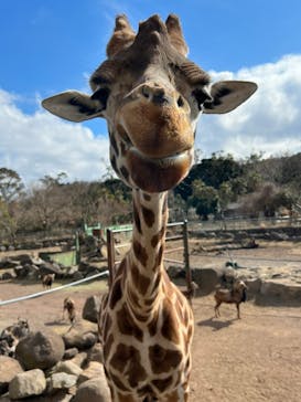 伊豆アニマルキングダムに投稿された画像（2022/2/7）