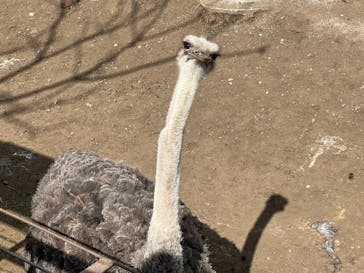 伊豆アニマルキングダムに投稿された画像（2022/2/7）