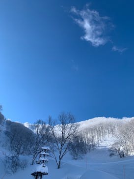 斑尾高原スキー場に投稿された画像（2022/2/7）