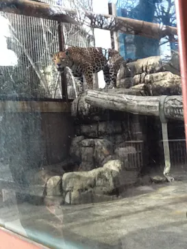 天王寺動物園に投稿された画像（2022/2/7）