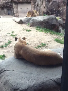 天王寺動物園に投稿された画像（2022/2/7）