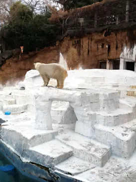 天王寺動物園に投稿された画像（2022/2/7）