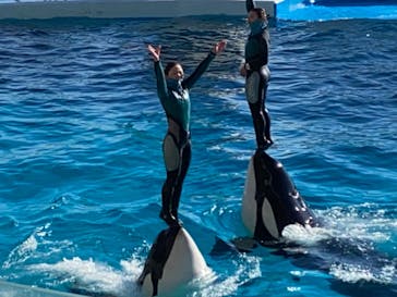 鴨川シーワールドに投稿された画像（2022/2/7）