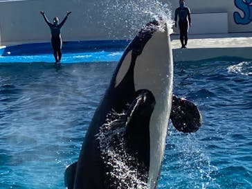 鴨川シーワールドに投稿された画像（2022/2/7）