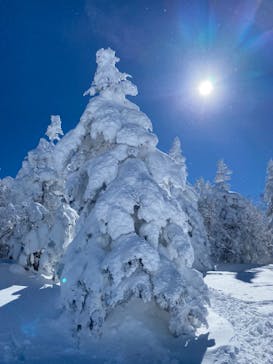 菅平高原スノーリゾートに投稿された画像（2022/2/7）