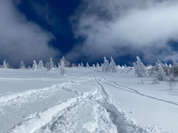 菅平高原スノーリゾートに投稿された画像（2022/2/7）