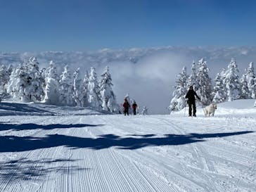 菅平高原スノーリゾートに投稿された画像（2022/2/7）