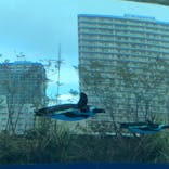 サンシャイン水族館に投稿された画像（2022/2/7）