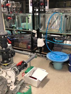 カワスイ 川崎⽔族館に投稿された画像（2022/2/7）