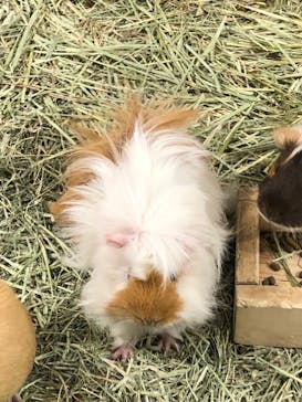 カワスイ 川崎⽔族館に投稿された画像（2022/2/7）