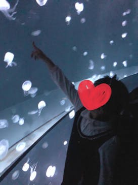 サンシャイン水族館に投稿された画像（2022/2/7）