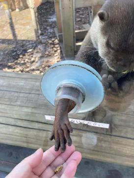 横浜・八景島シーパラダイスに投稿された画像（2022/2/7）