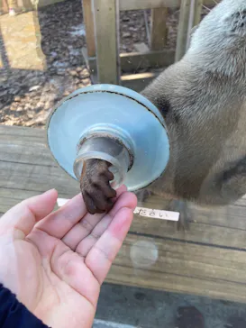 横浜・八景島シーパラダイスに投稿された画像（2022/2/7）