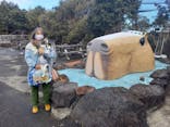 伊豆シャボテン動物公園に投稿された画像（2022/2/7）