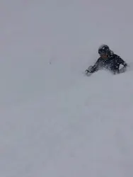 Epic Japanに投稿された画像（2022/2/8）