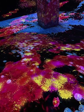 チームラボフォレスト 福岡 - SBI証券に投稿された画像（2022/2/8）