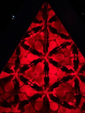 チームラボフォレスト 福岡 - SBI証券に投稿された画像（2022/2/8）