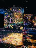 森ビル デジタルアート ミュージアム：エプソン チームラボボーダレスに投稿された画像（2022/2/8）