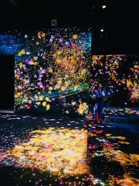 森ビル デジタルアート ミュージアム：エプソン チームラボボーダレスに投稿された画像（2022/2/8）