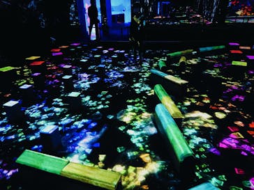 森ビル デジタルアート ミュージアム：エプソン チームラボボーダレスに投稿された画像（2022/2/8）