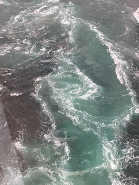 徳島県立 渦の道に投稿された画像（2022/2/8）