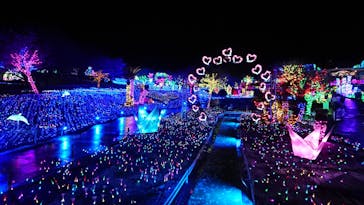 伊豆ぐらんぱる公園に投稿された画像（2022/2/9）