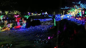 伊豆ぐらんぱる公園に投稿された画像（2022/2/9）