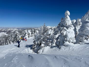 志賀高原マウンテンリゾートに投稿された画像（2022/2/9）