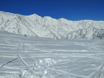 白馬八方尾根スキー場に投稿された画像（2022/2/9）