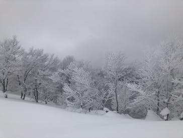 野沢温泉スキー場に投稿された画像（2022/2/9）