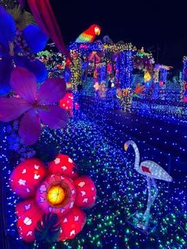 伊豆ぐらんぱる公園に投稿された画像（2022/2/9）