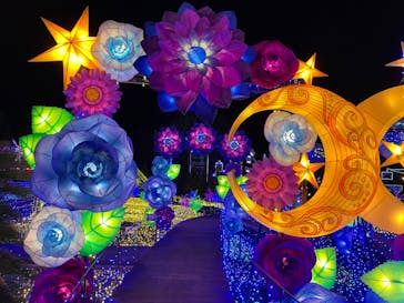 伊豆ぐらんぱる公園に投稿された画像（2022/2/9）