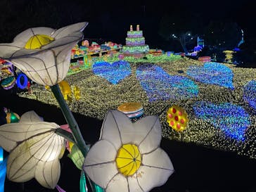 伊豆ぐらんぱる公園に投稿された画像（2022/2/9）