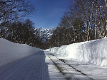 戸隠スキー場に投稿された画像（2022/2/9）