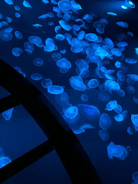 すみだ水族館に投稿された画像（2022/2/9）