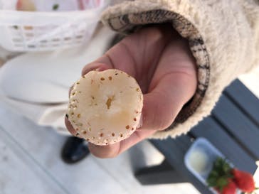 軽井沢ガーデンファームいちご園に投稿された画像（2022/2/9）