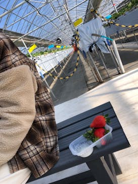 軽井沢ガーデンファームいちご園に投稿された画像（2022/2/9）