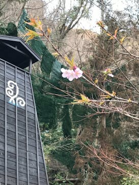 箱根湯本温泉 天成園に投稿された画像（2022/2/9）