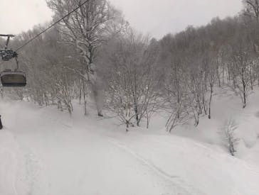 野沢温泉スキー場に投稿された画像（2022/2/9）