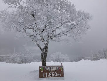 野沢温泉スキー場に投稿された画像（2022/2/9）