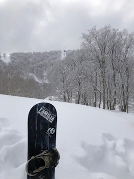 野沢温泉スキー場に投稿された画像（2022/2/9）