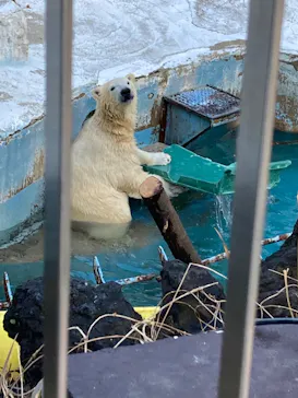 天王寺動物園に投稿された画像（2022/2/9）