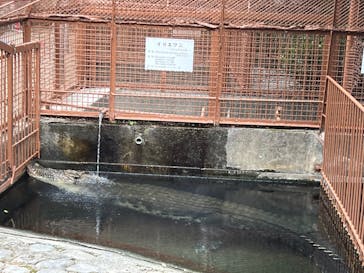 熱川バナナワニ園に投稿された画像（2022/2/9）