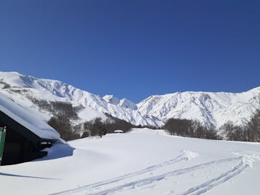 白馬八方尾根スキー場に投稿された画像（2022/2/10）