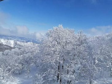野沢温泉スキー場に投稿された画像（2022/2/10）