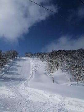 野沢温泉スキー場に投稿された画像（2022/2/10）