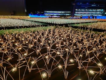 東京メガイルミに投稿された画像（2022/2/10）