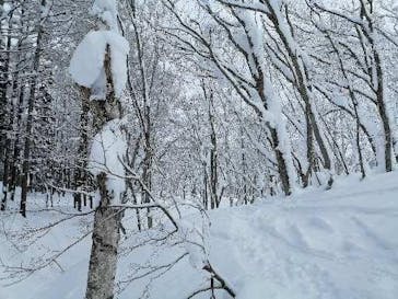 斑尾高原スキー場に投稿された画像（2022/2/10）