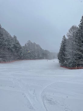 駒ヶ根高原スキー場に投稿された画像（2022/2/10）