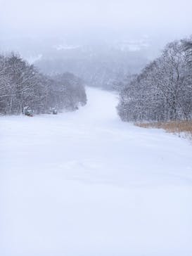 軽井沢プリンスホテルスキー場に投稿された画像（2022/2/10）